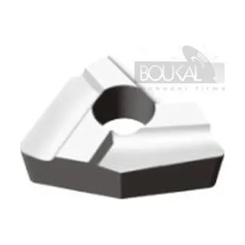 Příslušenstí k soustruhu Vyměnitelné břitové destičky HM - T31305A. Sada 10 kusů (E3)