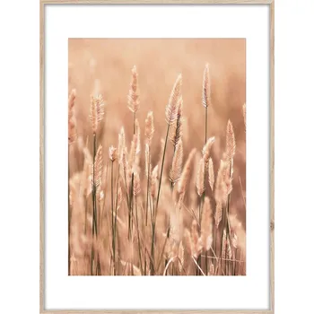 Obraz Obraz v rámu Traviny II, 70 × 50 cm&nbsp;OB-14032