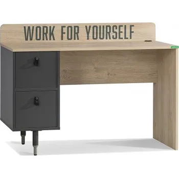 Psací stůl Psací stůl Magnus - dub sofia/šedá