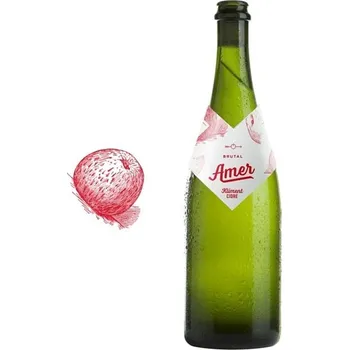 Víno Kliment Cidre - Kliment BIO Cidre Brutal AMER - 0,75 l 7,2%, sklo