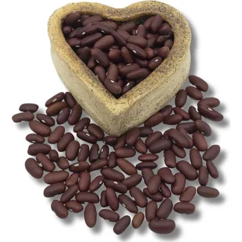 Ledvinka FITBOY Fazole červená ledvinka 1000g 1000g