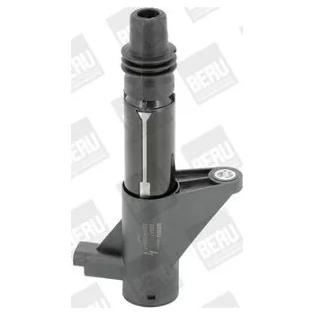 Zapalovací cívka Zapalovací cívka BorgWarner (BERU) ZS347