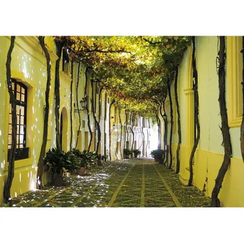 Puzzle PIATNIK Puzzle Andaluská ulička 1000 dílků