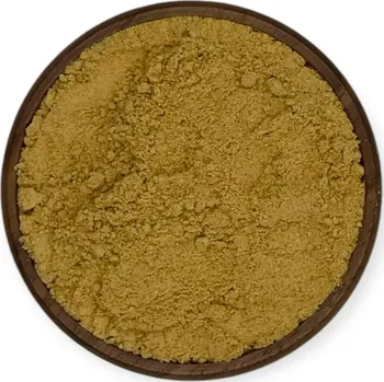 Koření Herbi Zázvor mletý 20 g