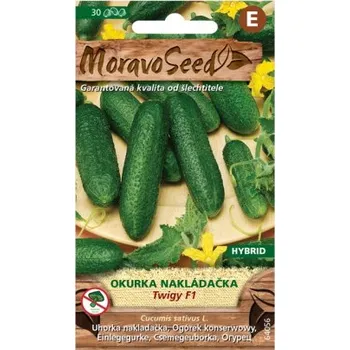 MoravoSeed Okurka nakládačka jemnoostná TWIGY F1 - hybrid 64056