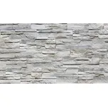 STEGU® Betonový obklad NEPAL 1 - FROST
