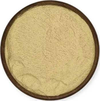 Koření Herbi Česnek mletý – intenzivní koření pro každou kuchyni 100 g