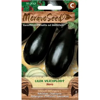 MoravoSeed Lilek NERO, fialový 63104