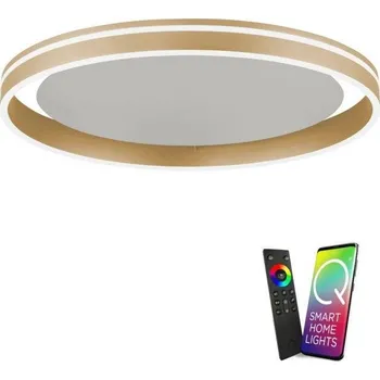 PAULNEUHAUS Paul Neuhaus, Q-VITO, LED stropní svítidlo, pr.59cm, Smart Home ZigBee 2700-5000K - PAUL NEUHAUS PN 8416-60