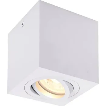 SLV - BIG WHITE TRILEDO Single, stropní nástavbové svítidlo, QPAR51, bílá, max. 10W - BIG WHITE (SLV) LA 1002015