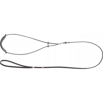 Vodítko pro psa Kožené Vodítko Dingo s kroužkem 1,5 m