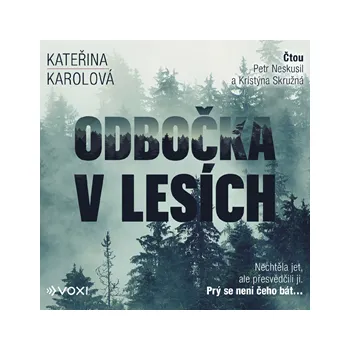 Odbočka v lesích MP3 download