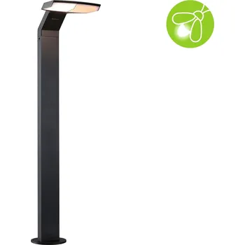 Venkovní osvětlení PAULMANN LED stojací svítidlo Zenera neláká hmyz IP44 670mm 2200 - 3000K 10W 230V antracit kov - PAULMANN P 94829