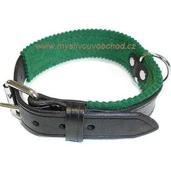 Obojek pro psa Obojek pro psa - 40 cm zelená