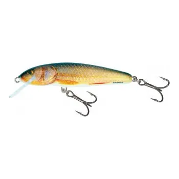 Umělá nástraha Wobler SALMO Minnow F 7cm barva RR - plovoucí