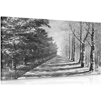 Obraz Dovido Obraz podzimní alej stromů v černobílém provedení