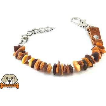 Obojek pro psa Jantarový obojek č.5 20-25 cm JO55220_R20_5