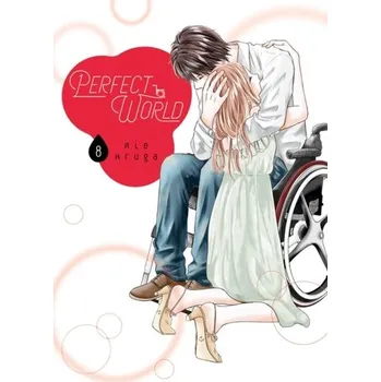 Kniha Perfect World 8 - Aruga, Rie