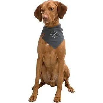 Obleček pro psa BE NORDIC šátek na krk, tmavošedá s větrnou růžicí, S: 30 cm