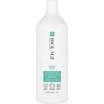 MATRIX BIOLAGE Scalp Sync Clarifying čistící šampon 1000ml