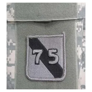 Nášivka Nášivka 75th INFANTRY DIVISION VELCRO - FOLIAGE