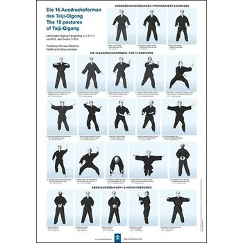 Die 15 Ausdrucksformen des Taiji Qigong Poster - Hildenbrand, Gisela