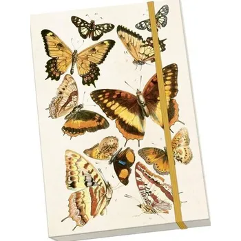 Set školních potřeb Notatnik ozdobny A5 STNOTE 132 Motyle