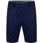 Kjus Men Iver Printed Shorts EU32, Atlanta Blue-White, pánské