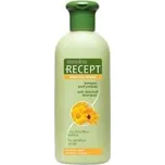 Subrina Recept šampon proti lupům na citlivou vlasovou pokožku 400ml