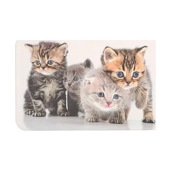 Kuchyňský nůž KESPER Dekorativní deska, Koťátka 23,5x14 cm (cs, Kesper)