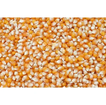 Krmivo pro rybičky Krmné směsi Kvídera Kukuřice popkornová 1 Kg