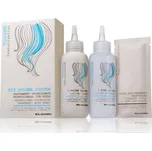 Elgon KIT volume system 2x100ml