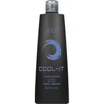 Bes cool-it silver šampon 300ml