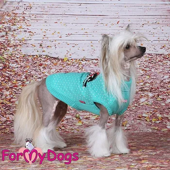 Obleček pro psa FOR MY DOGS svetr BULLFINCHES, modrozelený Velikost: 16/L–18/XL