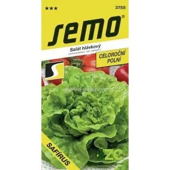 Semeno Salát k rychlení - Safírus polní 0,5g