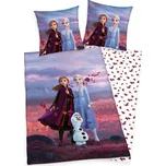 HERDING Povlečení Ledové Království Magic Bavlna, 140/200, 70/90 cm