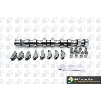 Vačková hřídel Sada vačkového hřídele BGA CS1454FK