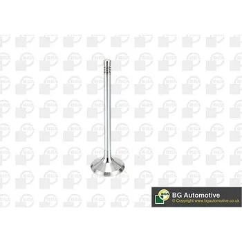 Ventil motoru Sací ventil BGA V998912