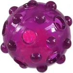 Dog Fantasy Glow TPR 8 cm fialový