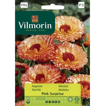 Semeno Měsíček lékařský Pink Surprise (oranžovo-růžový)