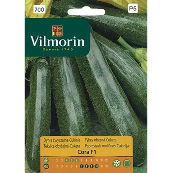 Semeno Cuketa (tykev obecná) Cora F1