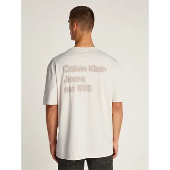 Pánské tričko Tričko Calvin Klein Jeans Moonbeam 1066927 L