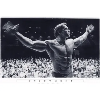 Arnold Schwarzenegger Enjoyment IDV42808 91,5 x 61 cm