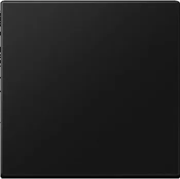 Příslušenství pro svítidlo JUNG Hmatník vypínače / tlačítka černý matný A 590 SWM - JUNG JU A590SWM