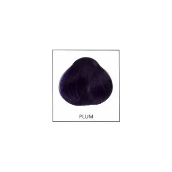 Barva na vlasy Directions 10 Plum 89 ml