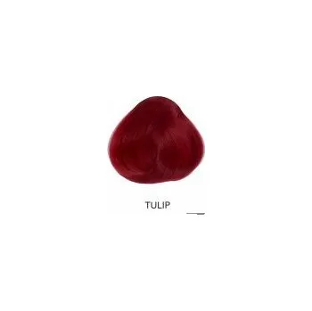 Barva na vlasy Directions 00 Tulip 89 ml