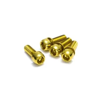 Šroub Šrouby uchycení brzdy Reverse M6 x 18 mm, 4 ks Gold
