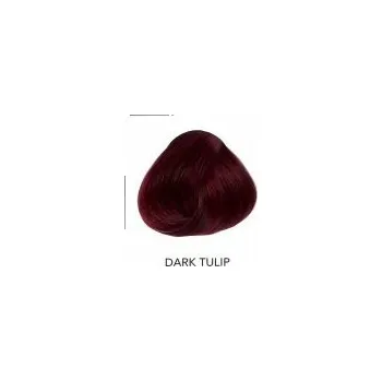 Barva na vlasy Directions 00 Dark Tulip 89 ml