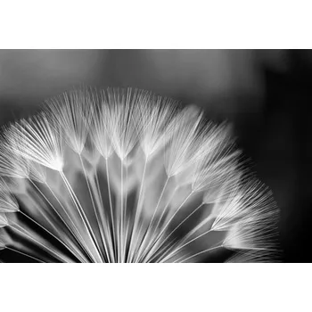 Fototapeta Vliesové fototapety vzor 3D IMPOL TRADE 292 V8