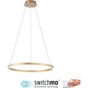 JUSTLIGHT RITUS LED závěsné svítidlo matná mosaz kruhové pr.60cm stmívatelné Switchmo teplá bílá krokově stmívatelné 3000K - LEUCHTEN DIREKT / JUST LIGHT LD 15394-60